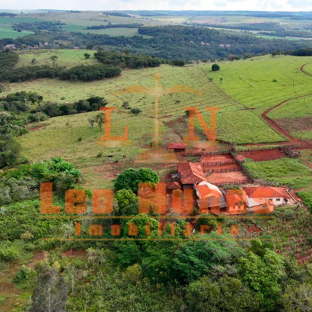 Fazenda de 56 Alqueires em Martinésia - COD 127