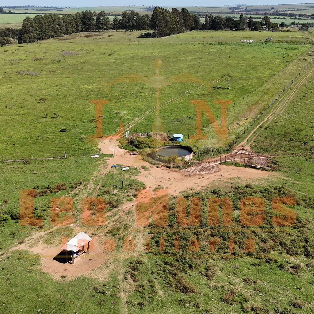 Fazenda de 35 alqueires em Uberaba - COD 131